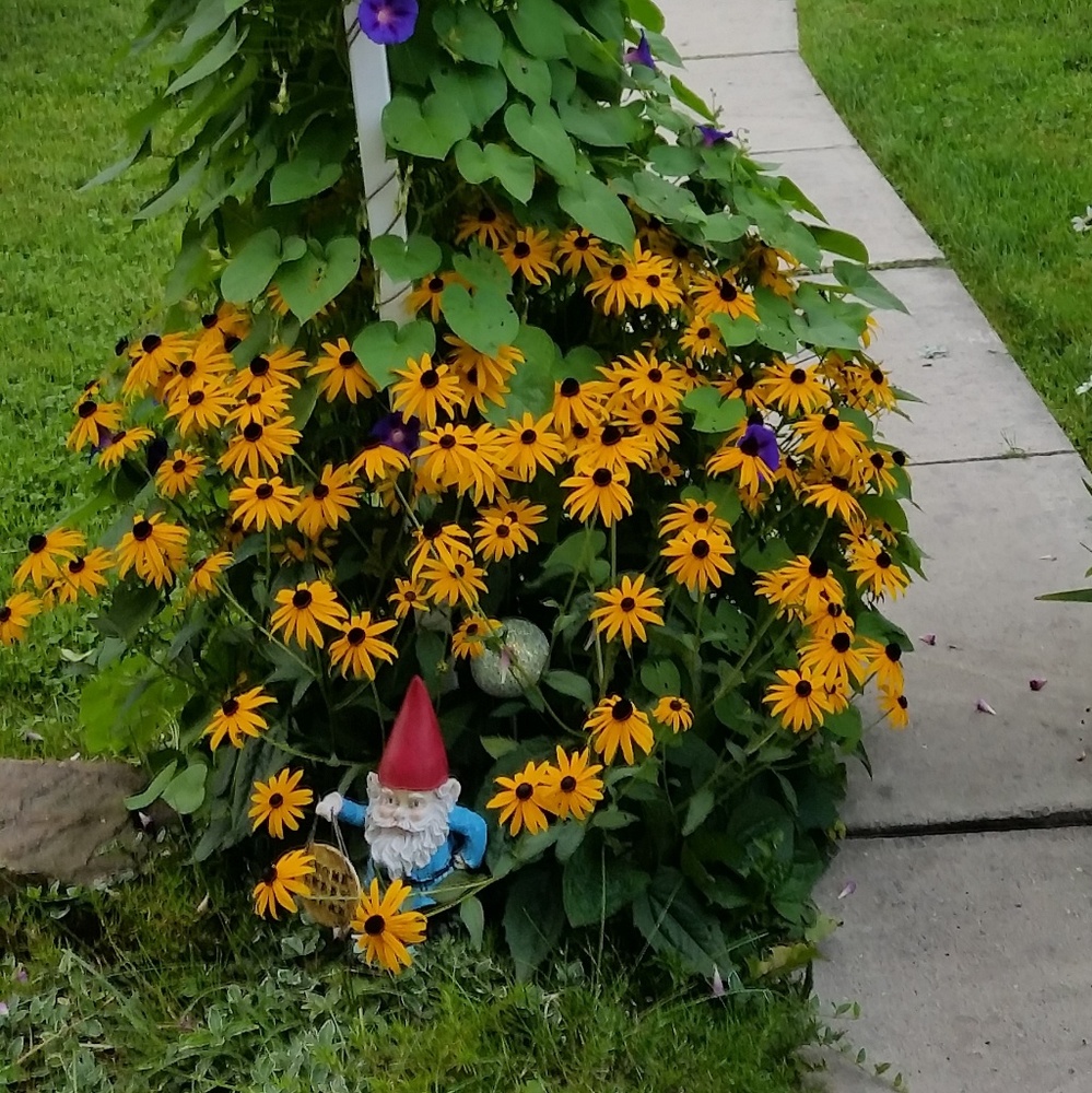 Meet your Posher, Riss - Picture 2 of 7